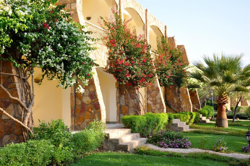 Marsa Alam utazás Brayka Bay Resort Marsa Alam