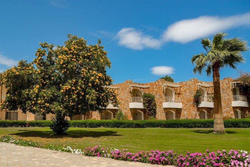 Marsa Alam utazás Brayka Bay Resort Marsa Alam