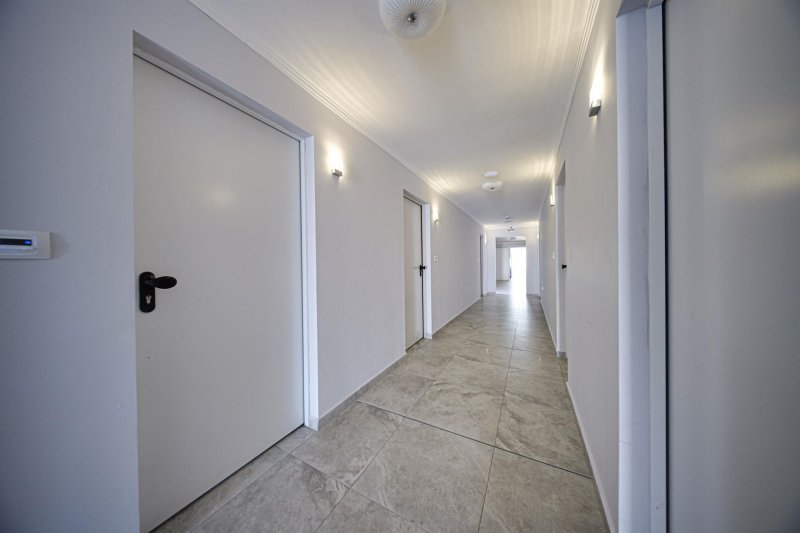 Napospart utazás Cinema