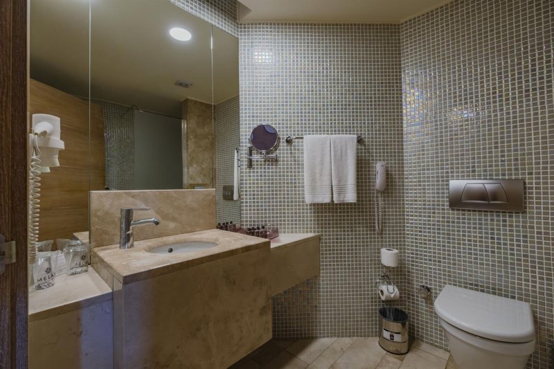 Standard Large Room