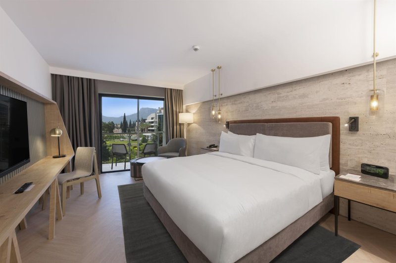 Guest Room Mountain View