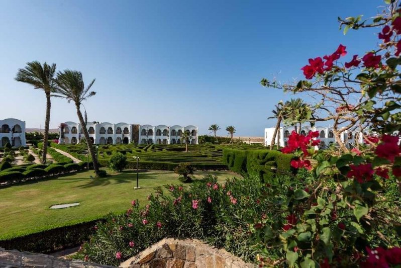 Marsa Alam utazás Gorgonia Beach Resort