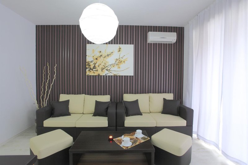 1 Bedroom Apartment