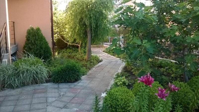 Napospart utazás Hotel 415