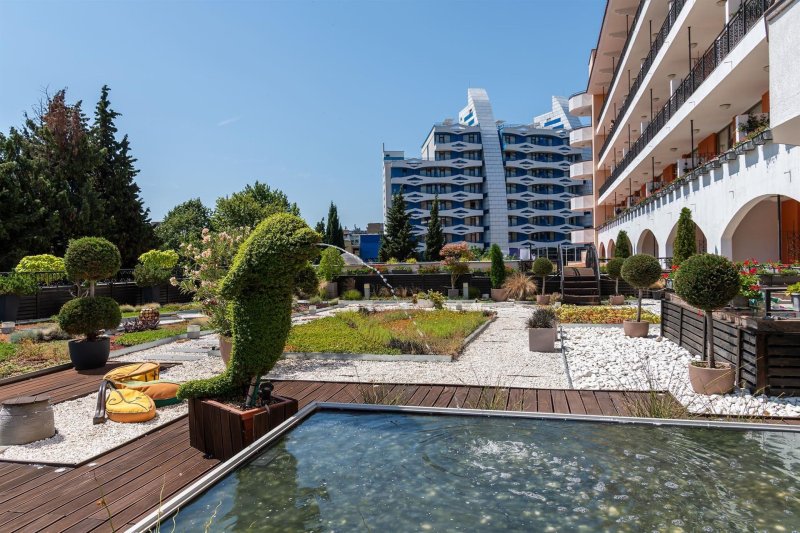 Napospart utazás Hrizantema