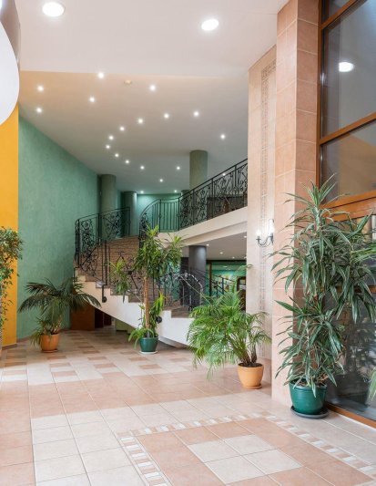 Napospart utazás Hrizantema