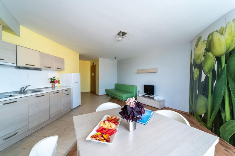 1 Bedroom Apartment