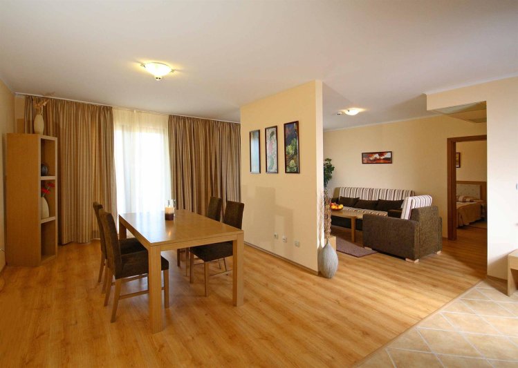 1 Bedroom Apartment