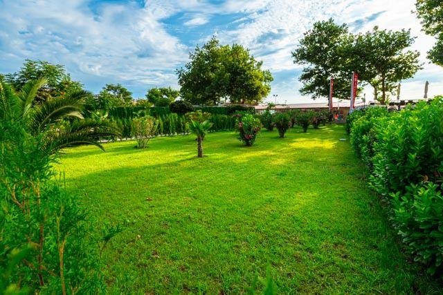 Napospart utazás Martinez