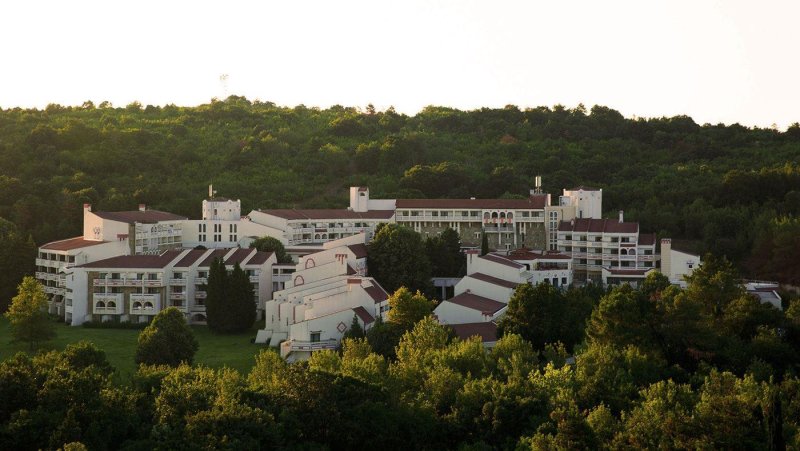 Napospart utazás Pelican