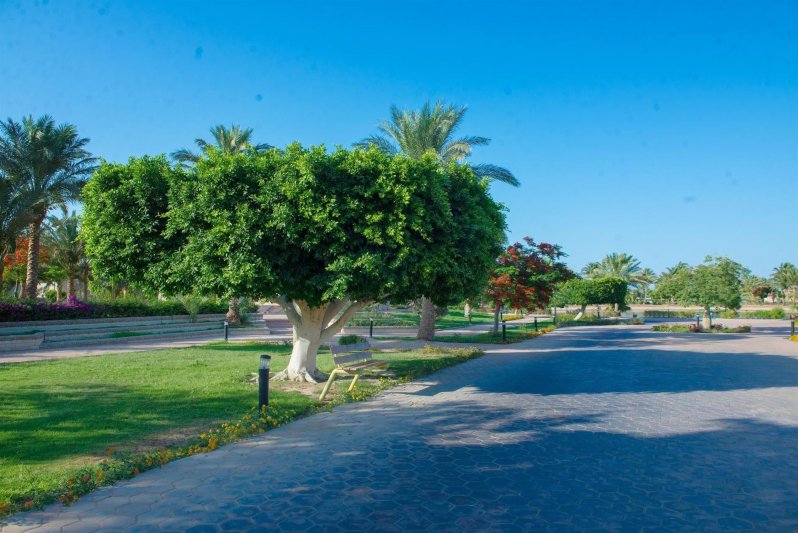 Hurghada utazás Pharaoh Azur Resort