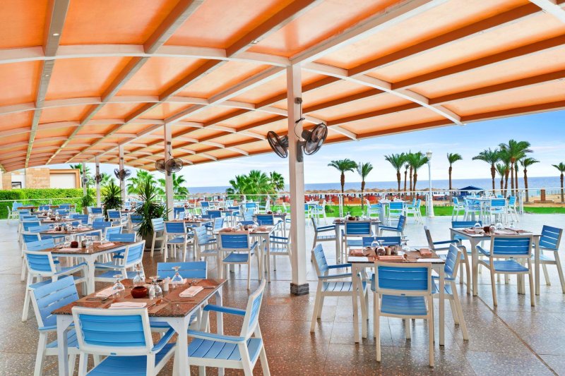 Marsa Alam utazás Pickalbatros The Palace Port Ghalib