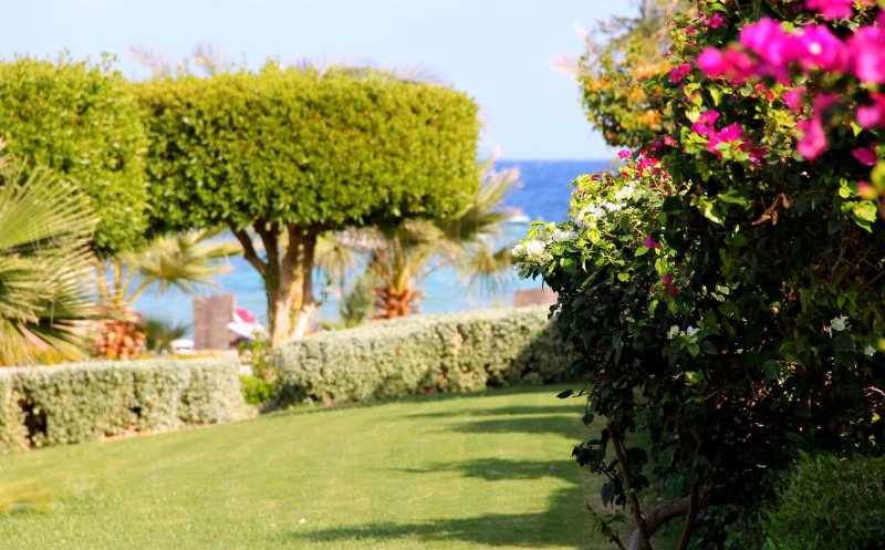 Marsa Alam utazás Royal Brayka Beach Resort