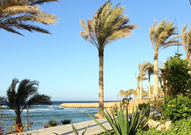 Marsa Alam utazás Royal Brayka Beach Resort