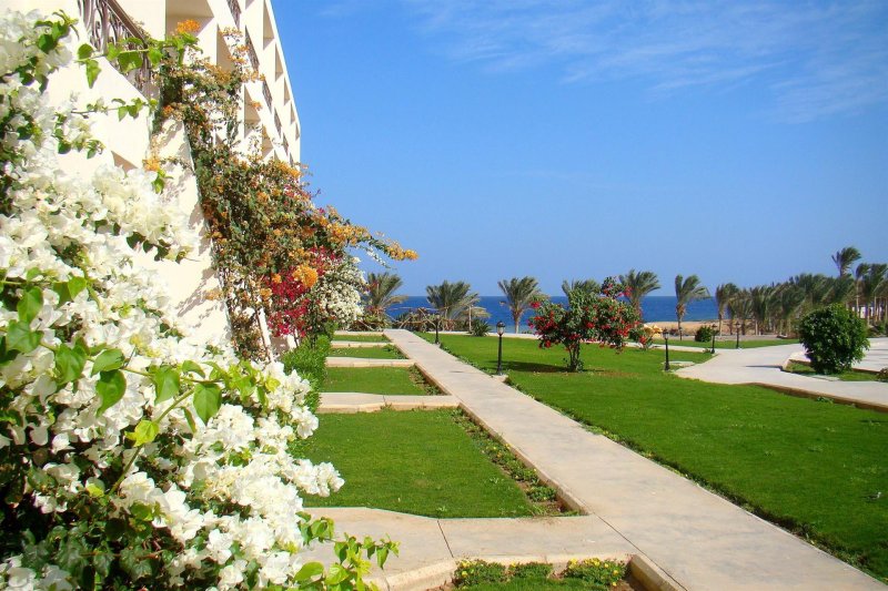 Marsa Alam utazás Royal Brayka Beach Resort