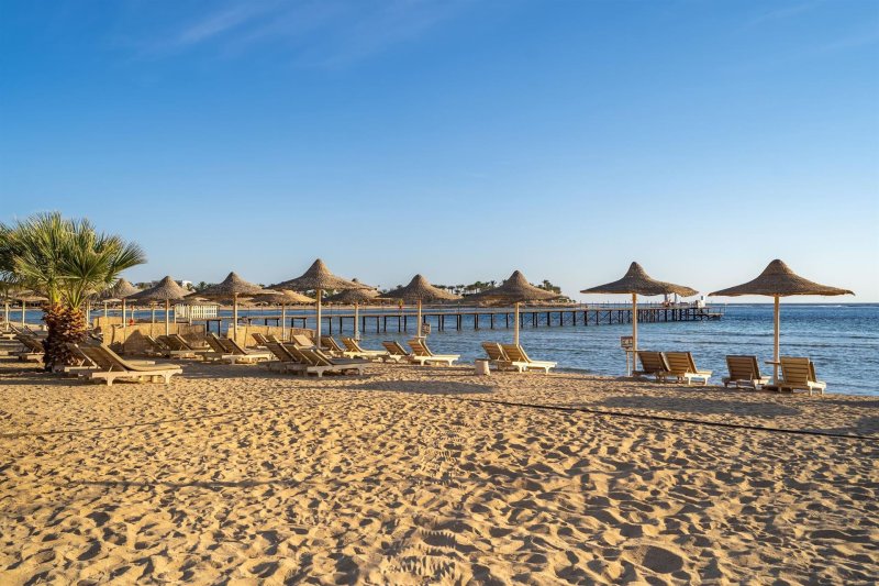 Marsa Alam utazás Royal Brayka Beach Resort