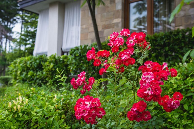 Napospart utazás Santa Marina Holiday Village