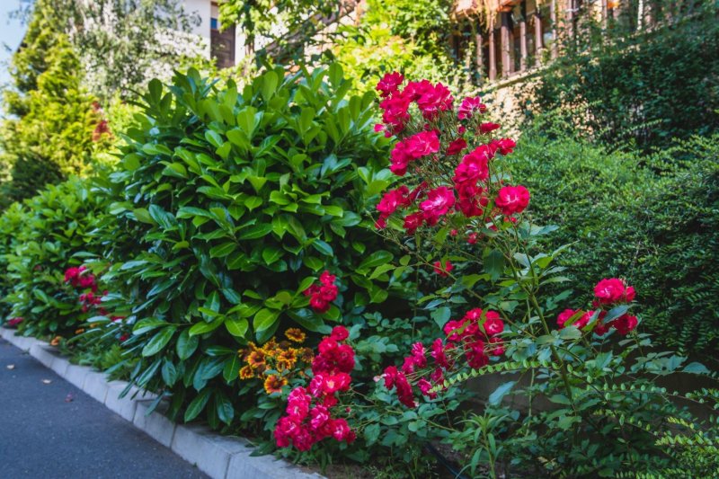 Napospart utazás Santa Marina Holiday Village