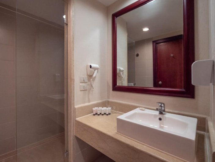 Deluxe Pool View Room