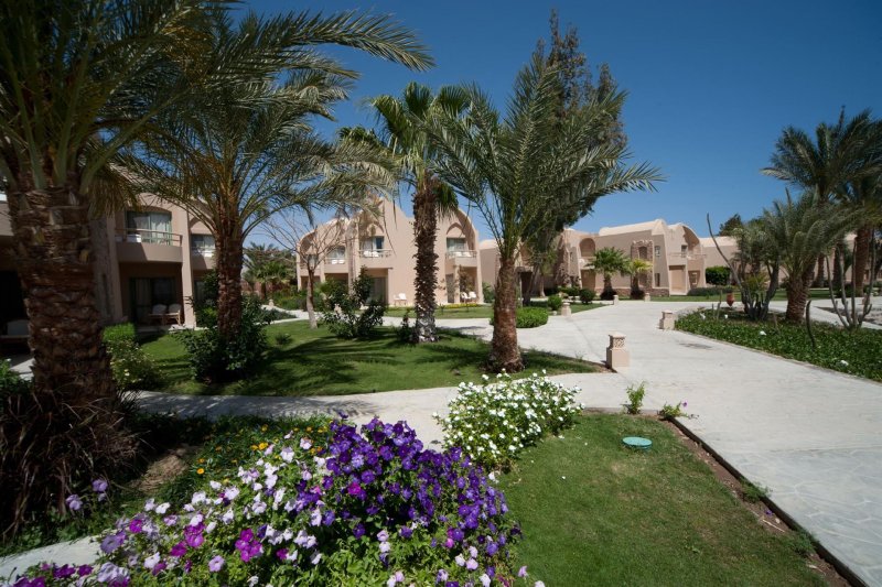 Marsa Alam utazás Shams Alam Beach Resort