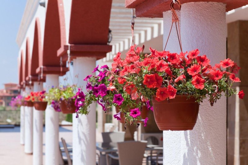 St.George Palace Resort & Spa Napospart