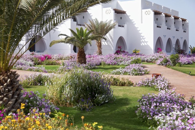 Marsa Alam utazás The Three Corners Equinox Beach Resort