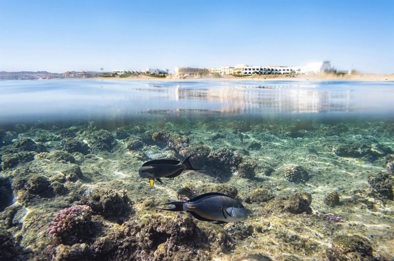 The Three Corners Equinox Beach Resort Marsa Alam
