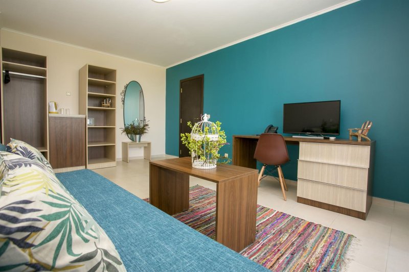 1 Bedroom Apartment