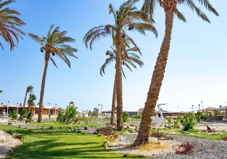 Hurghada utazás White Valley Palace