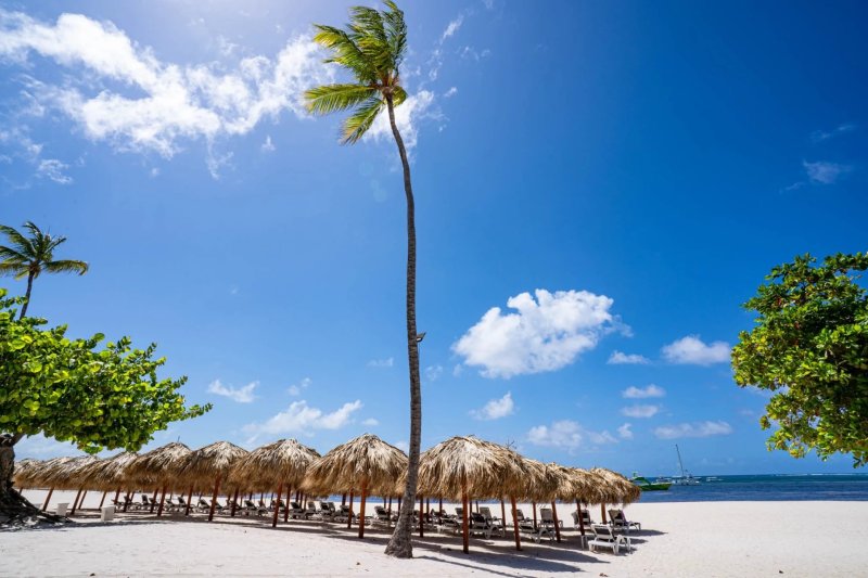 Dominika utazás Bakour Punta Cana Suites