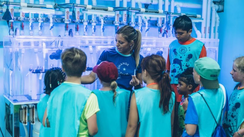 Dominika utazás Iberostar Punta Cana