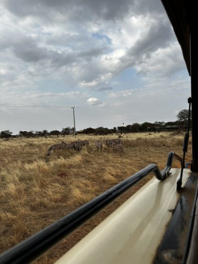 Kenya utazás 1 éj szafari + 6 éj tengerparti üdülés