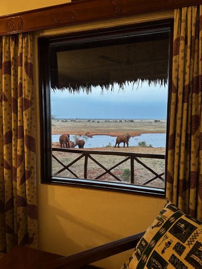 Kenya utazás 1 éj szafari + 6 éj tengerparti üdülés