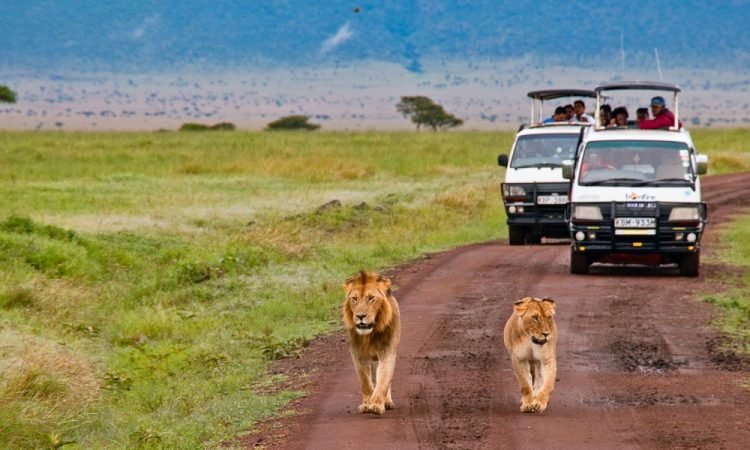 Kenya utazás Szafari (2+5) - MASAI MARA