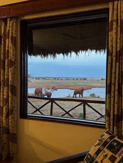 Kenya utazás Szafari + Papillion Lagoon Reef