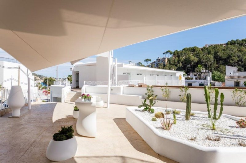 Mallorca Paguera utazás Hotel Tora