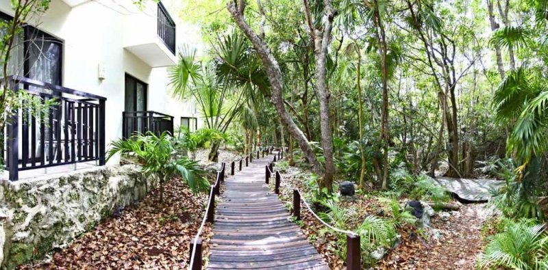 Mexikó utazás Sandos Caracol ECO Resort