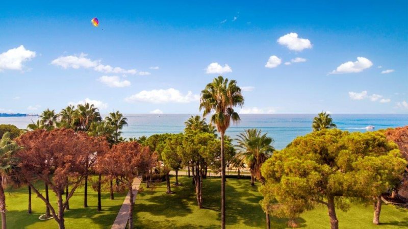 Side utazás Acanthus & Cennet Barut Collection