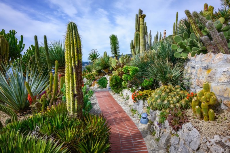 Adventi utazás a Francia Riviérára