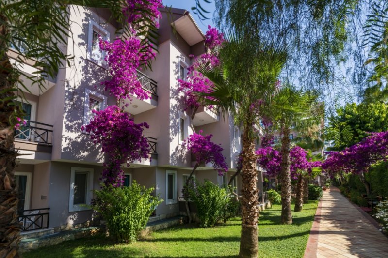 Club Dizalya Hotel Alanya