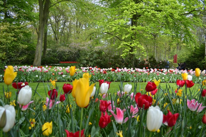 Amszterdam utazás Hétvége Amszterdamban