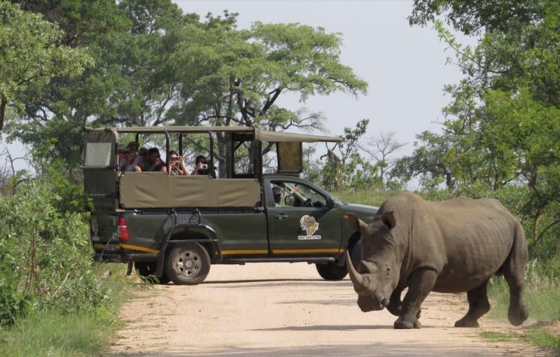 Dél-Afrikai körutazás Fokváros nevezetességeivel, szafarival, pihenéssel Sun City