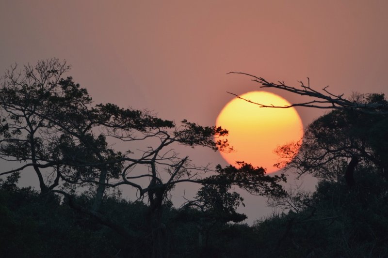 Dél-Afrikai körutazás Fokváros nevezetességeivel, szafarival, pihenéssel Sun City