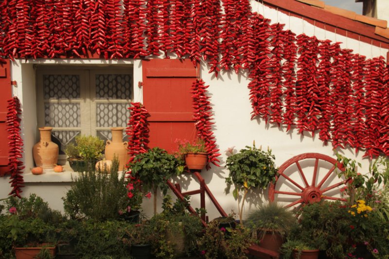 Francia körutak utazás Bordeaux és a francia baszkföld