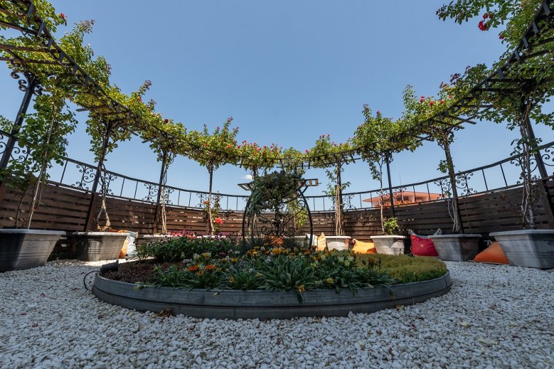 Napospart utazás Hotel Hrizantema