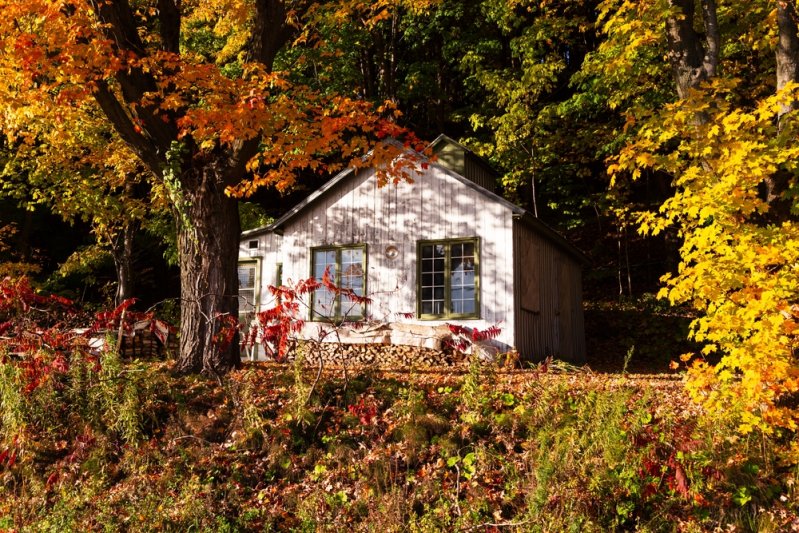Kanada körutazás Klasszikus kelet-kanadai körutazás, Montreáltól a Niagara vízesésig
