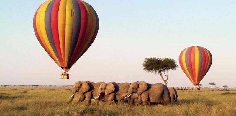 Felfedező Szafari Kenya