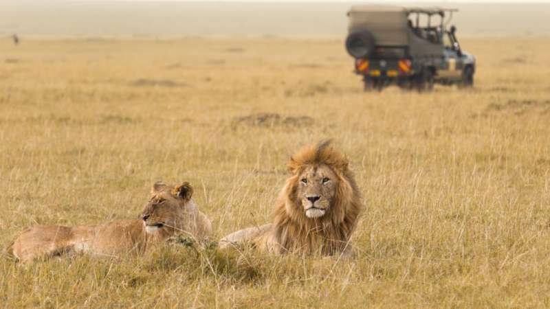 Szafari (2+5) - MASAI MARA Kenya