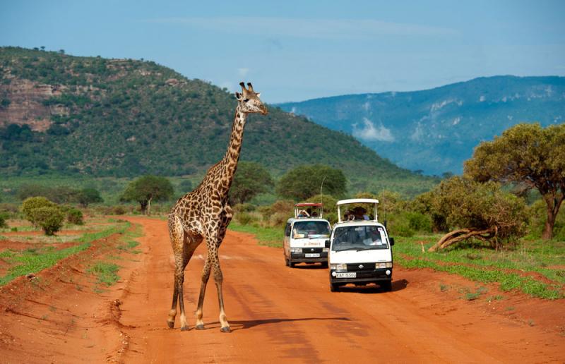 Szafari (3+4) Kenya
