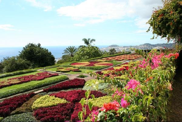 Madeira mesés kertjei